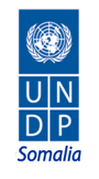 UNDP Nairobi – Logistics Associate